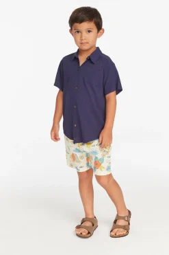 Chaser Brand Collared Sapphire Blue Button Down Boys Shirt Cheap