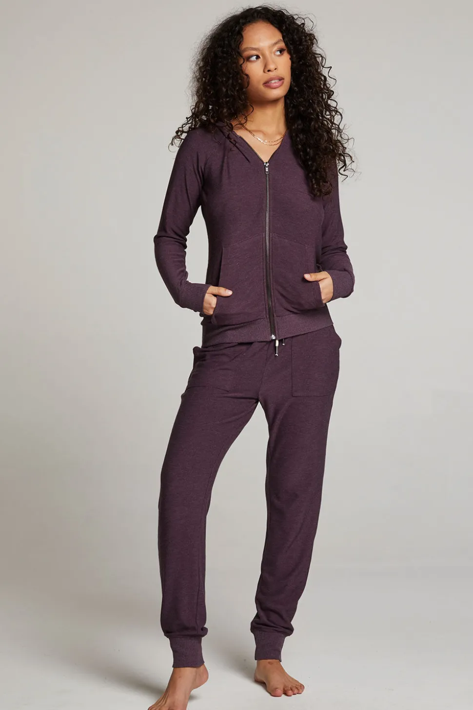 Chaser Brand Plum Perfect Long Sleeve Raglan Zip Up Hoodie Store