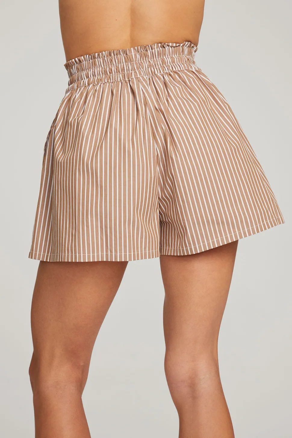 Chaser Brand Rapalloo Whiskey Stripe Short Hot
