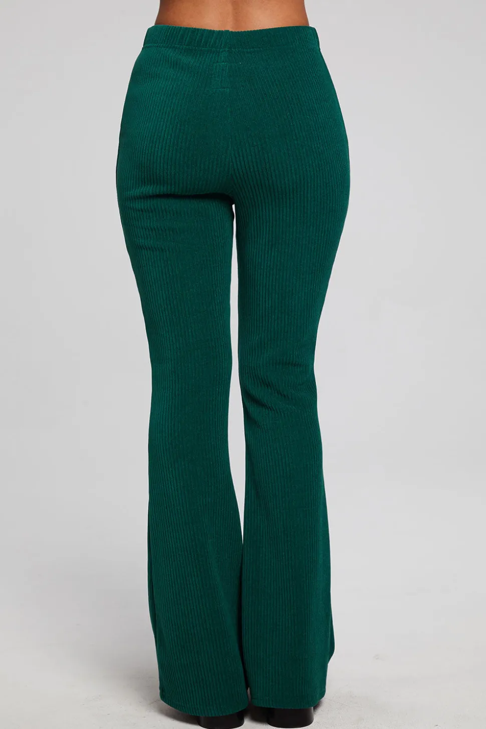 Chaser Brand Taraa Bluegrass Legging New