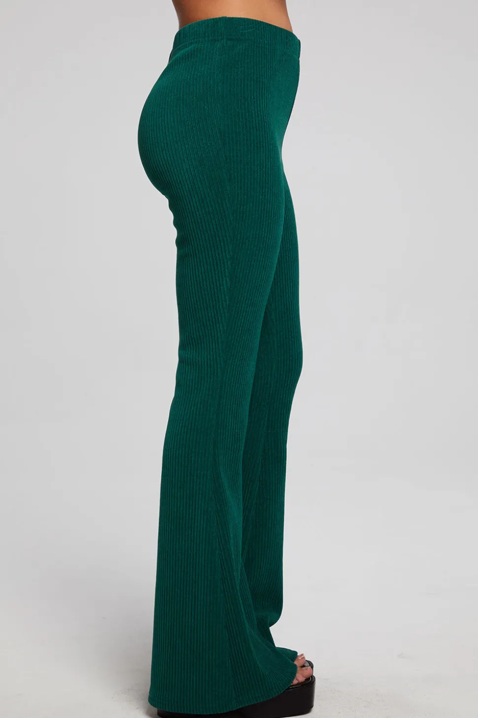Chaser Brand Taraa Bluegrass Legging New