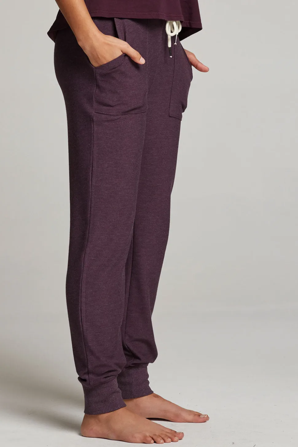 Chaser Brand Tessa Plum Perfect Jogger Discount